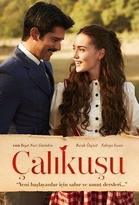 Королёк – птичка певчая